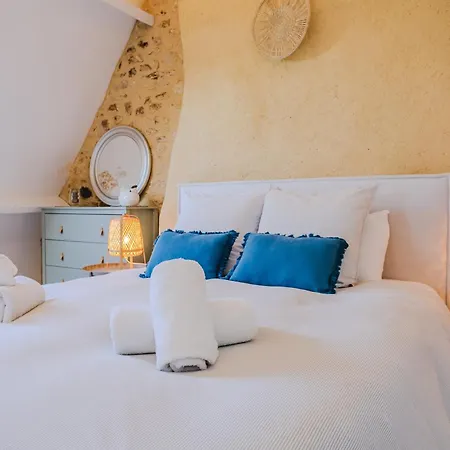 Le Logis De Saint-Chamassy