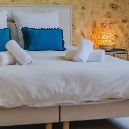 Le Logis De * Saint-Chamassy