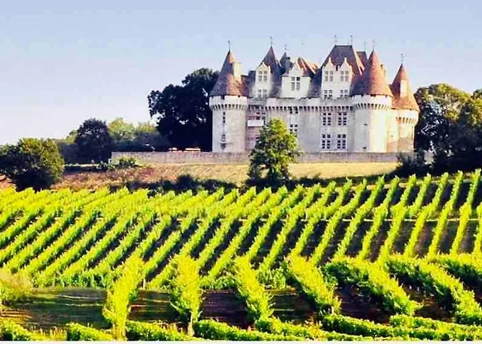 Le Logis De Holiday home Saint-Chamassy